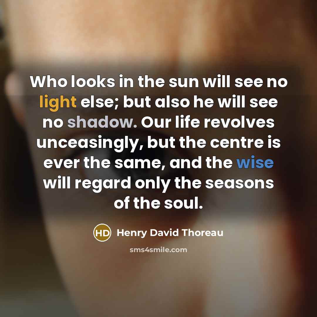 “Who looks in the sun will see no light else;…” quote by Henry David Thoreau