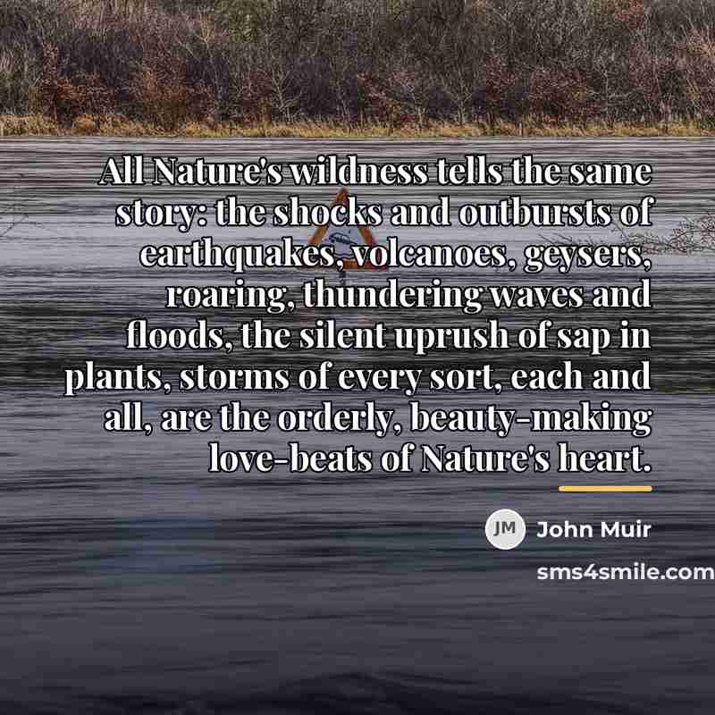 “All Nature's wildness tells the same story: the shocks and…” quote by John Muir