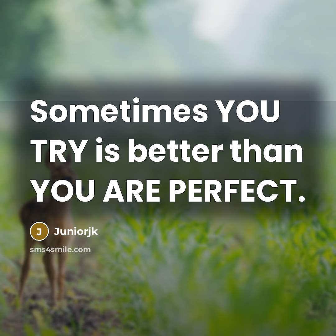 “Sometimes YOU TRY is better than YOU ARE PERFECT.…” quote by Juniorjk