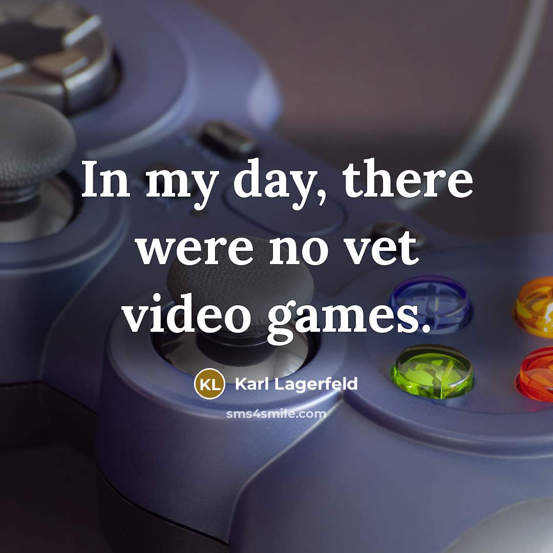 “In my day, there were no vet video games.…” quote by Karl Lagerfeld