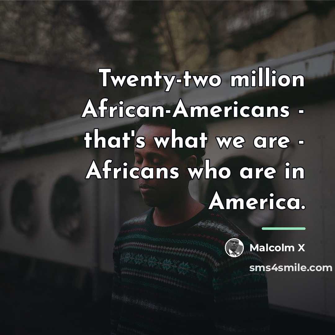 “Twenty-two million African-Americans - that's what we are - Africans…” quote by Malcolm X