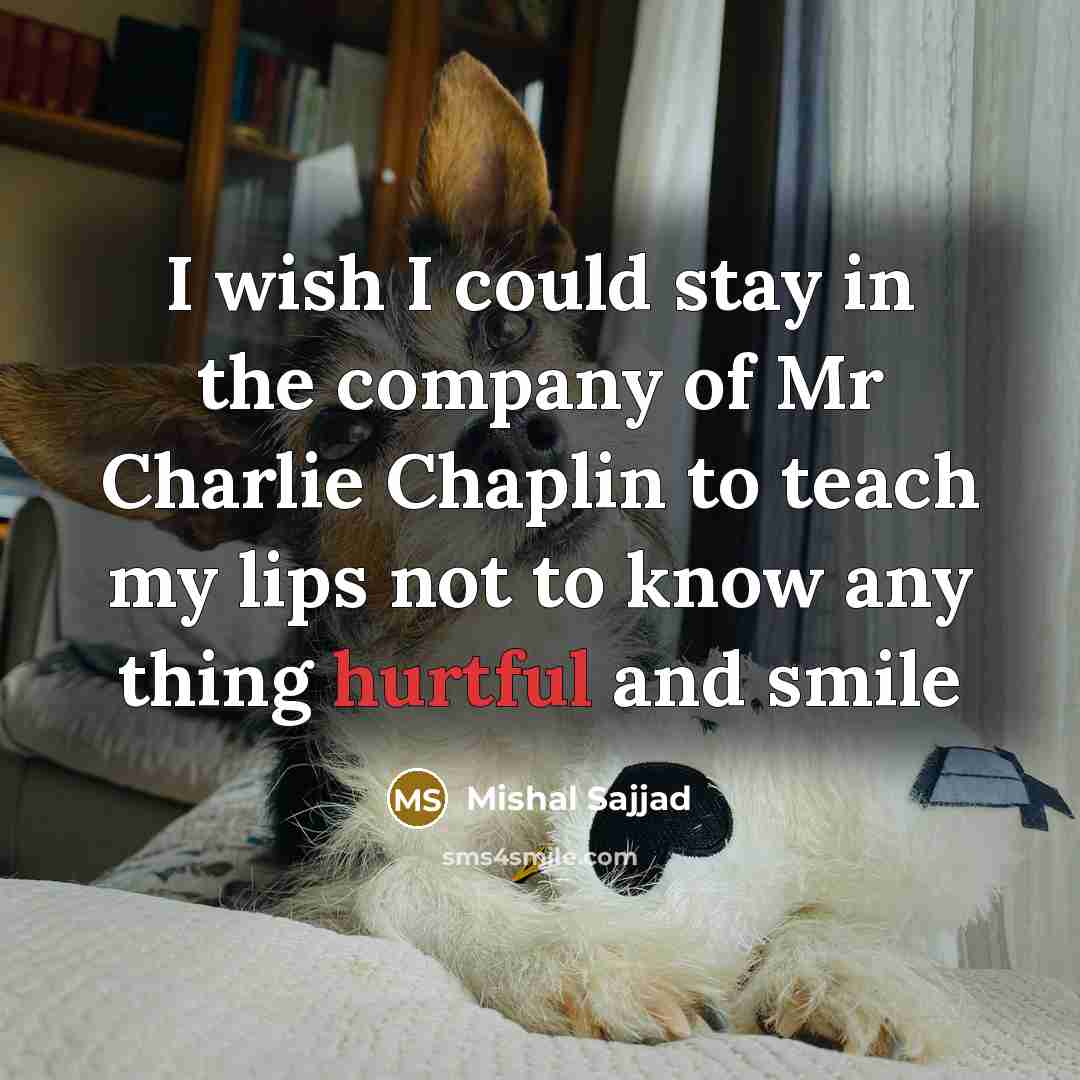 “I wish I could stay in the company of Mr…” quote by Mishal Sajjad