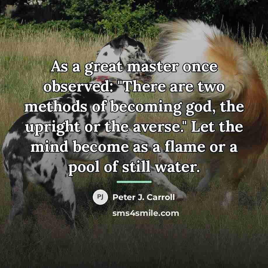 “As a great master once observed: "There are two methods…” quote by Peter J. Carroll