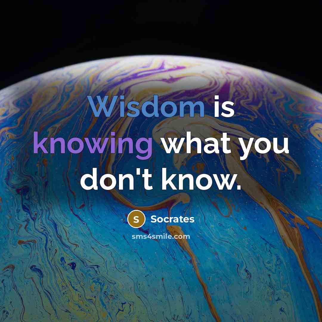 “Wisdom is knowing what you don't know.” quote by Socrates
