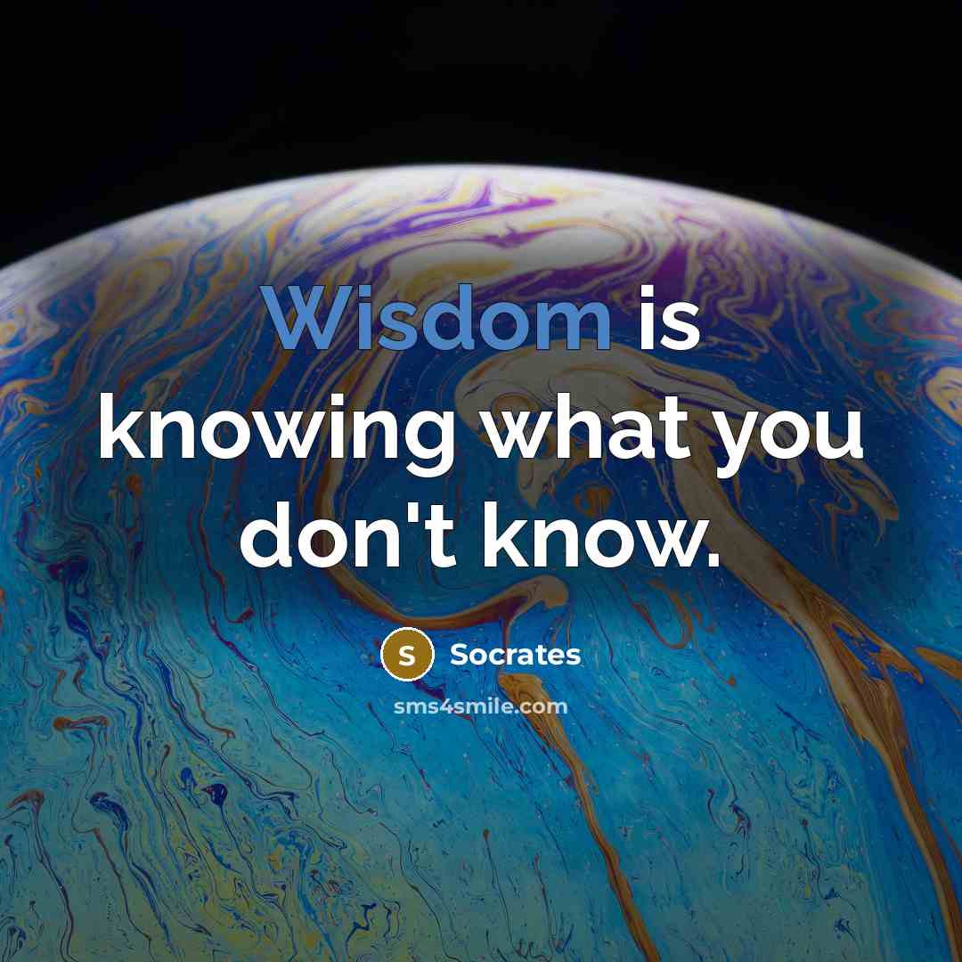 “Wisdom is knowing what you don't know.…” quote by Socrates