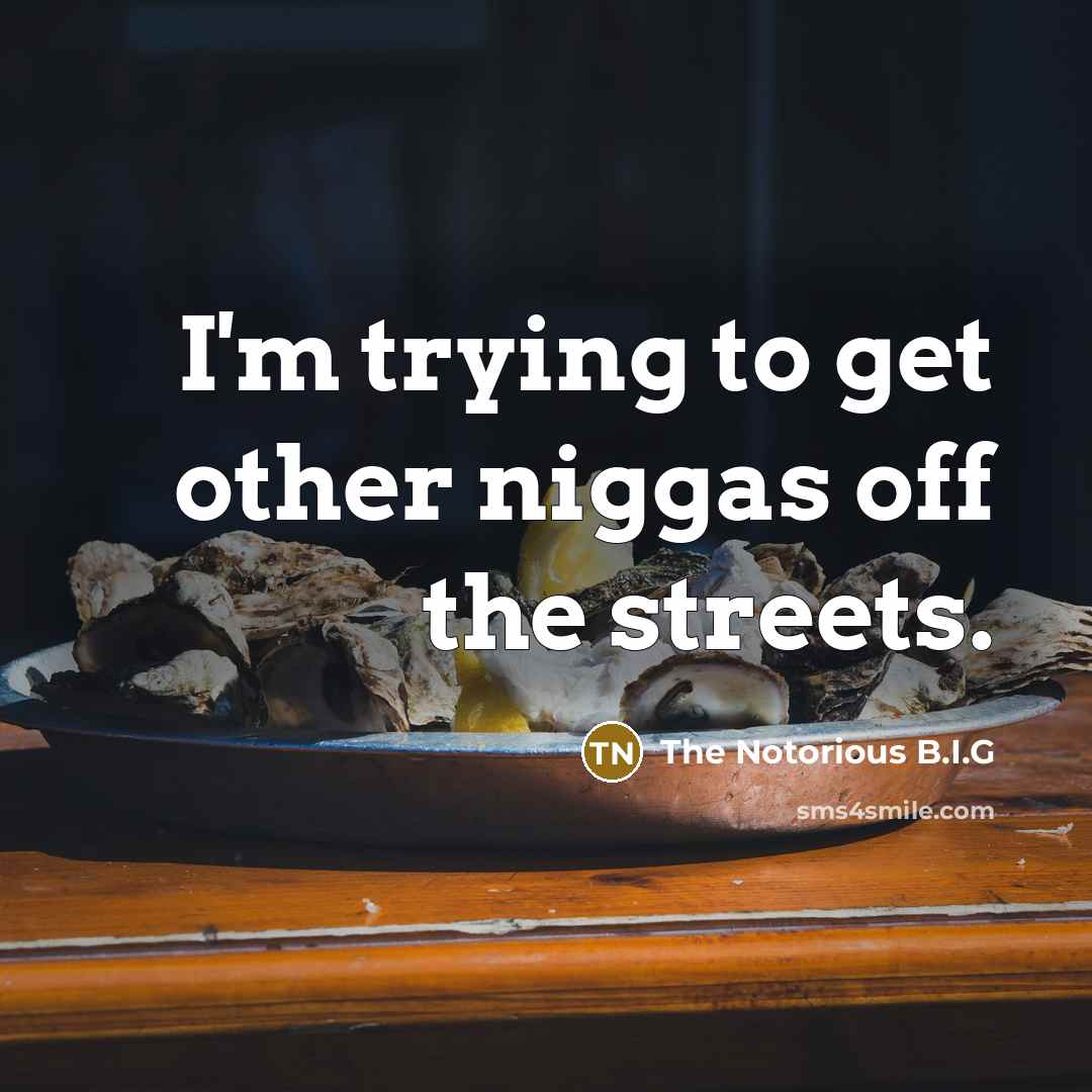 “I'm trying to get other niggas off the streets.” quote by The Notorious B.I.G