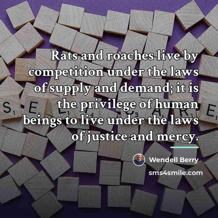 “Rats and roaches live by competition under the laws of…” quote by Wendell Berry