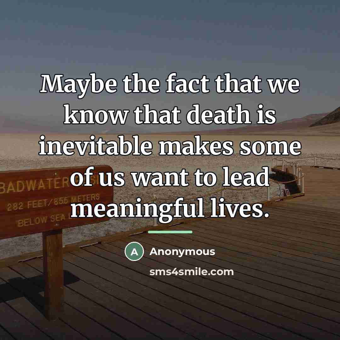 “Maybe the fact that we know that death is inevitable…” quote by Anonymous