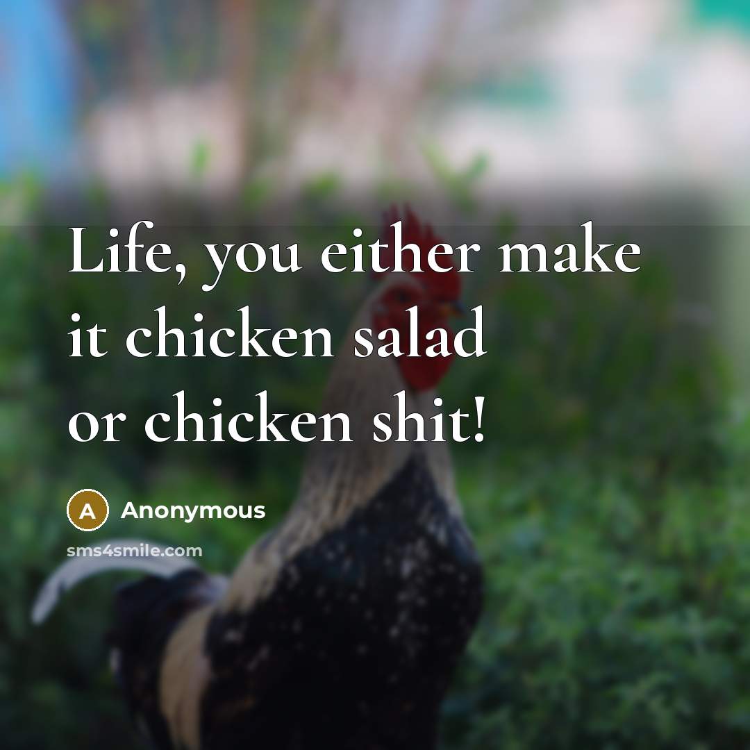 “Life, you either make it chicken salad or chicken shit!…” quote by Anonymous