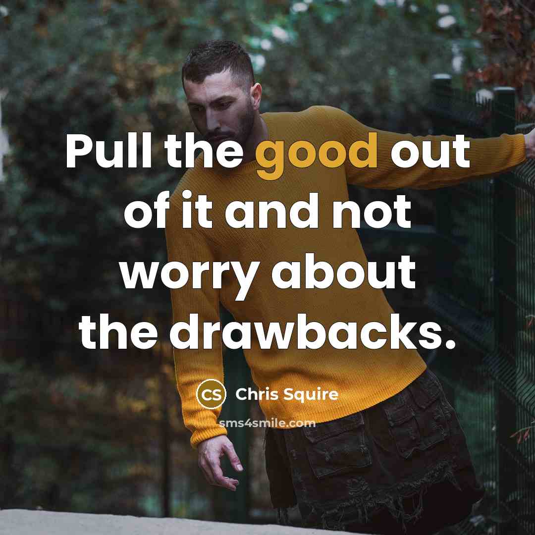 “Pull the good out of it and not worry about…” quote by Chris Squire