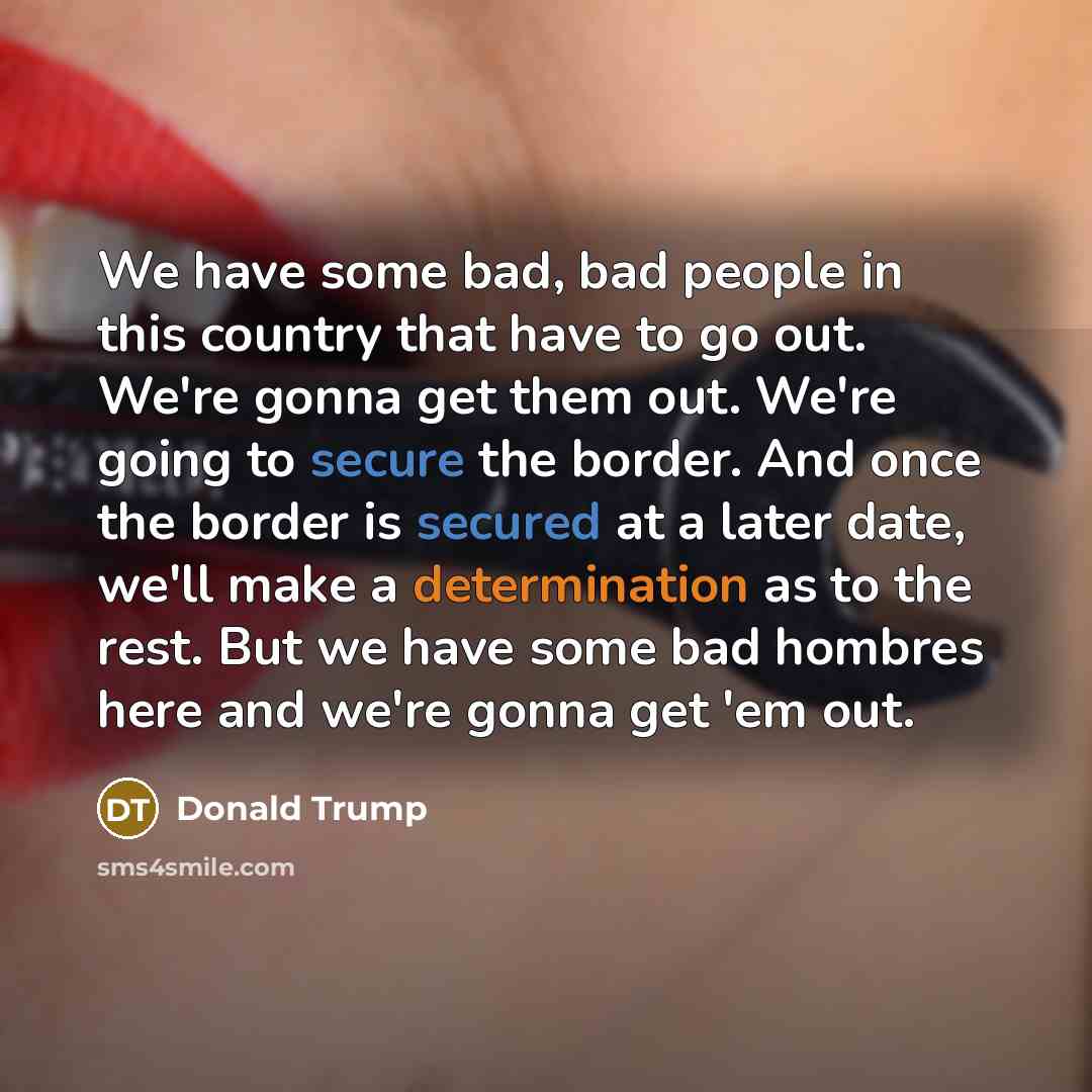 “We have some bad, bad people in this country that…” quote by Donald Trump