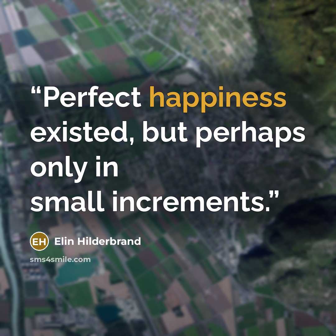 “Perfect happiness existed, but perhaps only in small increments.” quote by Elin Hilderbrand