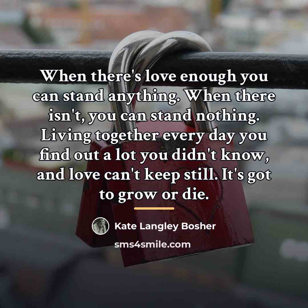 “When there's love enough you can stand anything. When there…” quote by Kate Langley Bosher