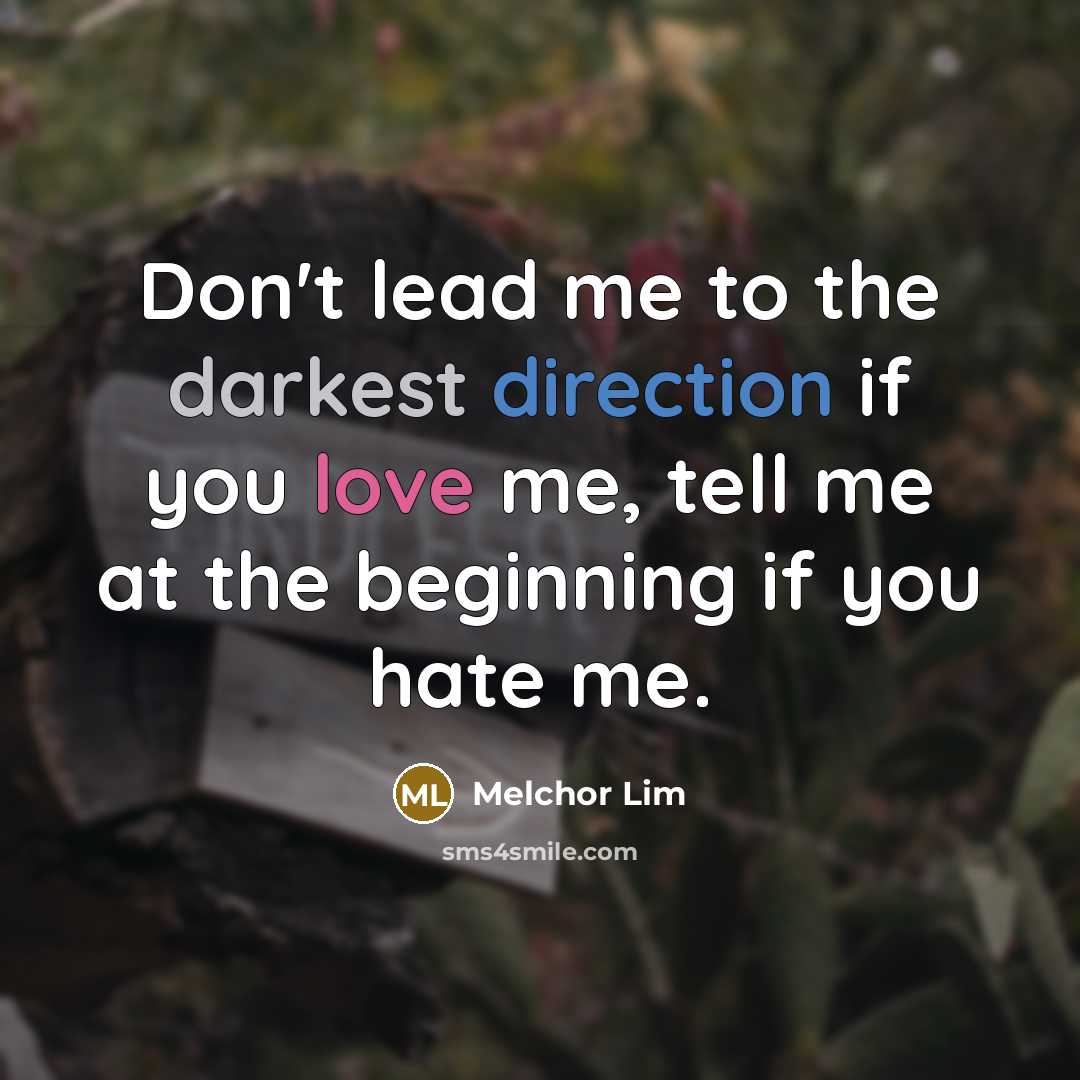 “Don't lead me to the darkest direction if you love me, tell me at the beginning if you hate me.” quote by Melchor Lim
