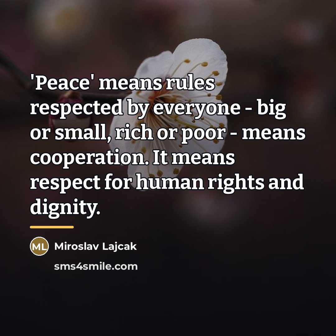 “'Peace' means rules respected by everyone - big or small,…” quote by Miroslav Lajcak