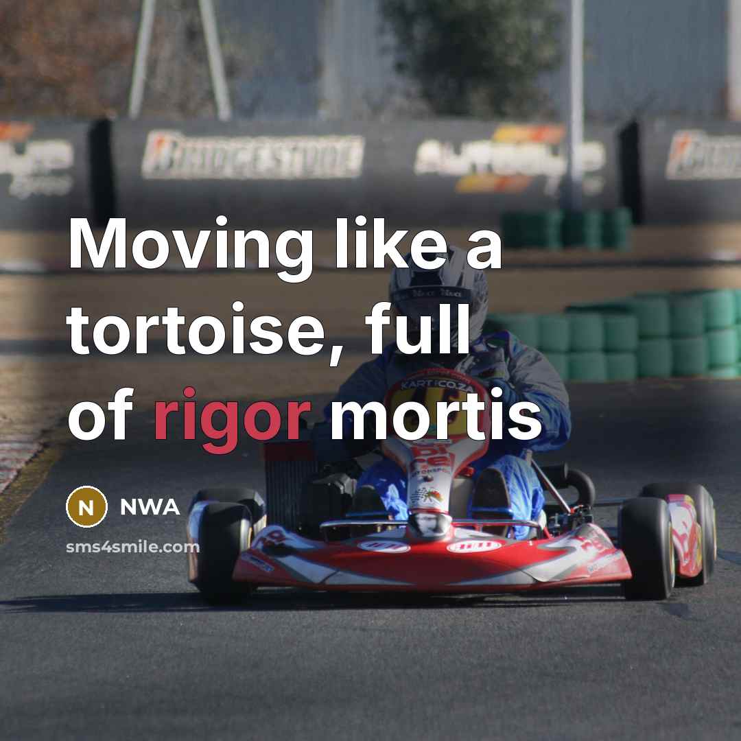 “Moving like a tortoise, full of rigor mortis…” quote by NWA