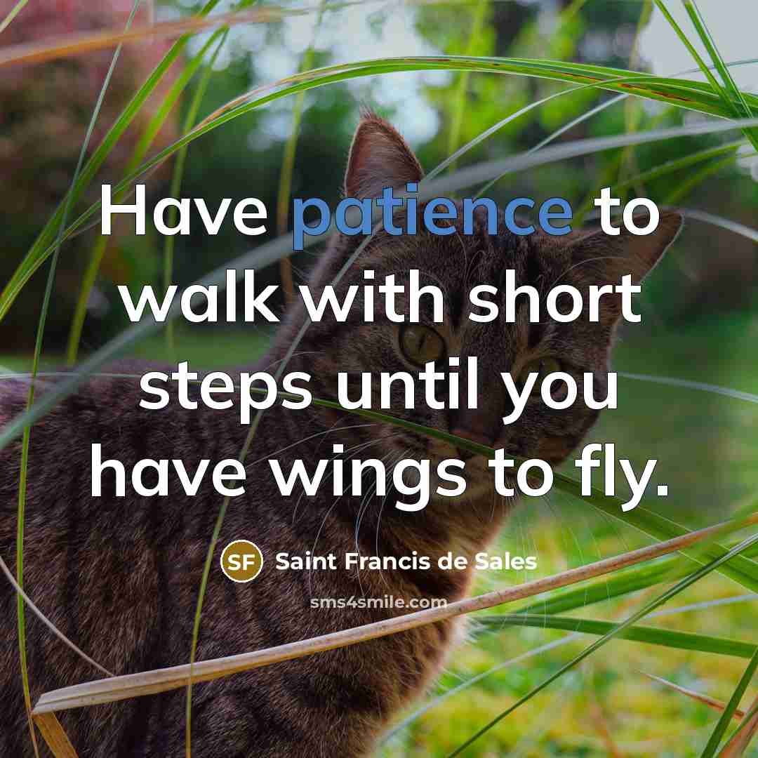 “Have patience to walk with short steps until you have…” quote by Saint Francis de Sales