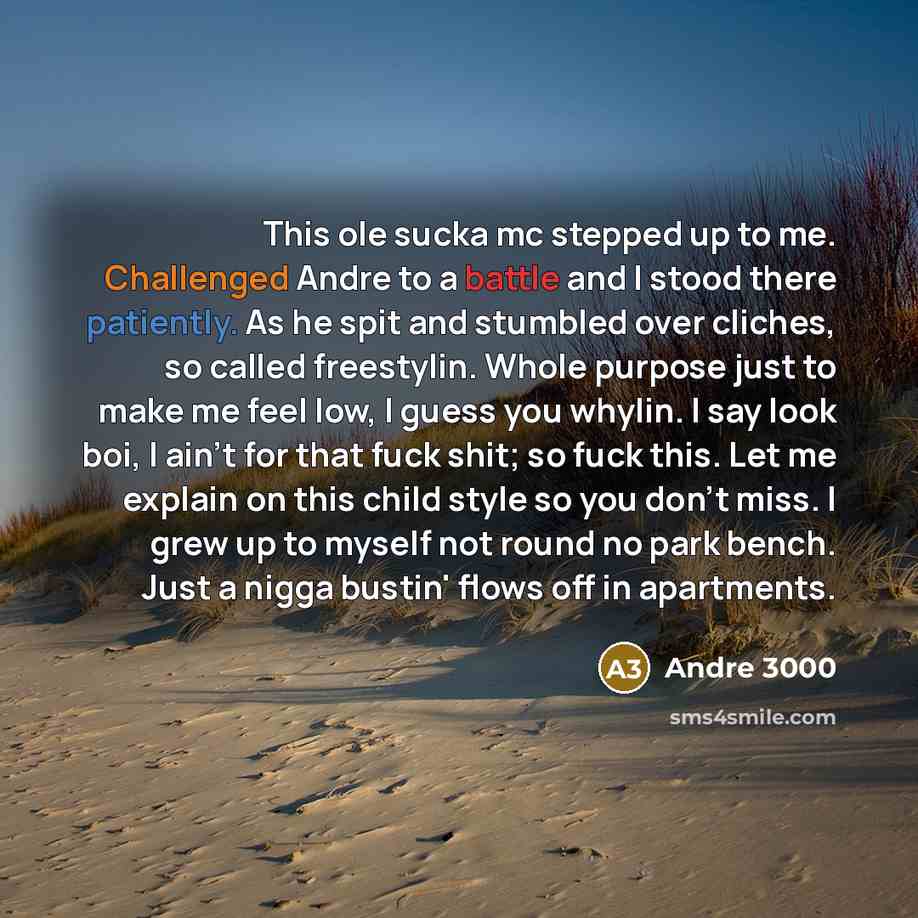 “This ole sucka mc stepped up to me. Challenged Andre to a battle and I stood there patiently. As he spit and stumbled over cliches, so called freestylin. Whole purpose just to make me feel low, I guess you whylin. I say look boi, I ain't for that fuck shit; so fuck this. Let me explain on this…” quote by Andre 3000