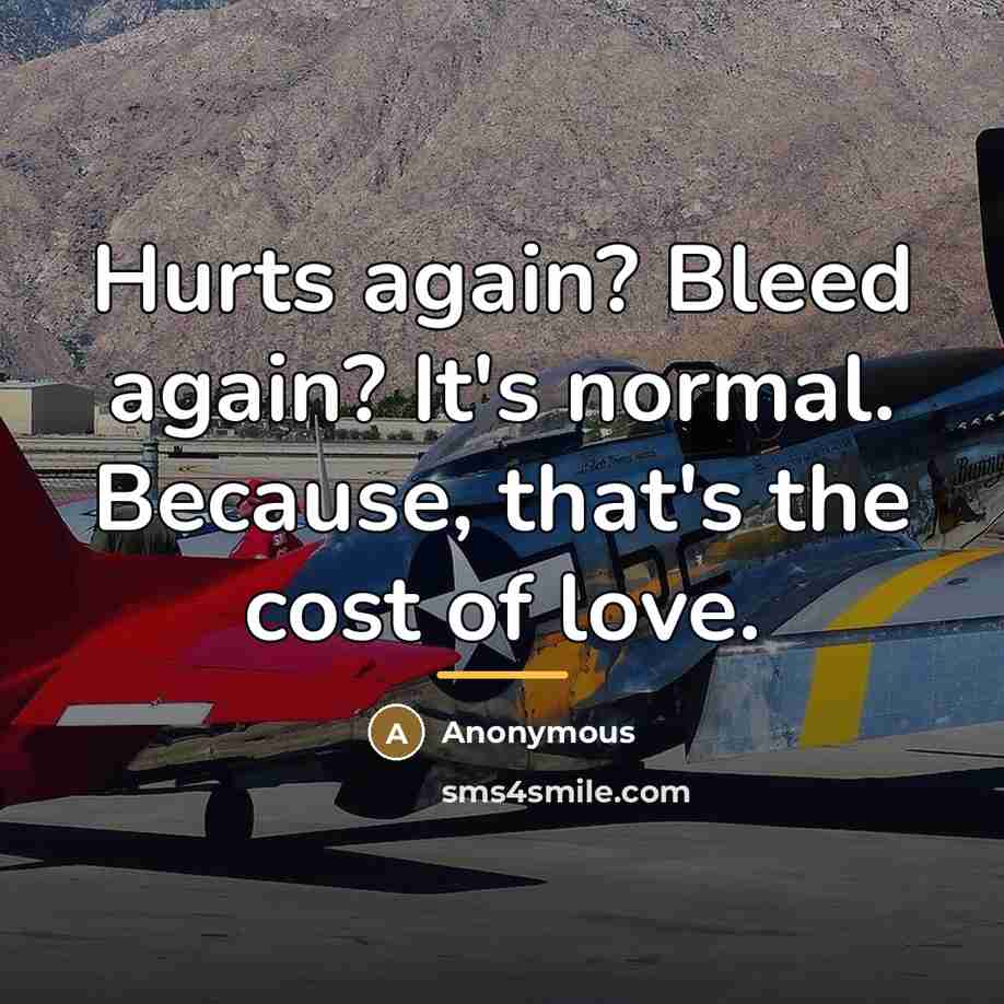 “Hurts again? Bleed again? It's normal. Because, that's the cost…” quote by Anonymous