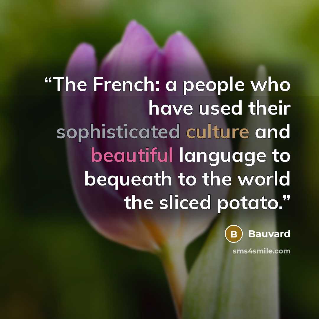 “The French: a people who have used their sophisticated culture and beautiful language to bequeath to the world the sliced potato.” quote by Bauvard