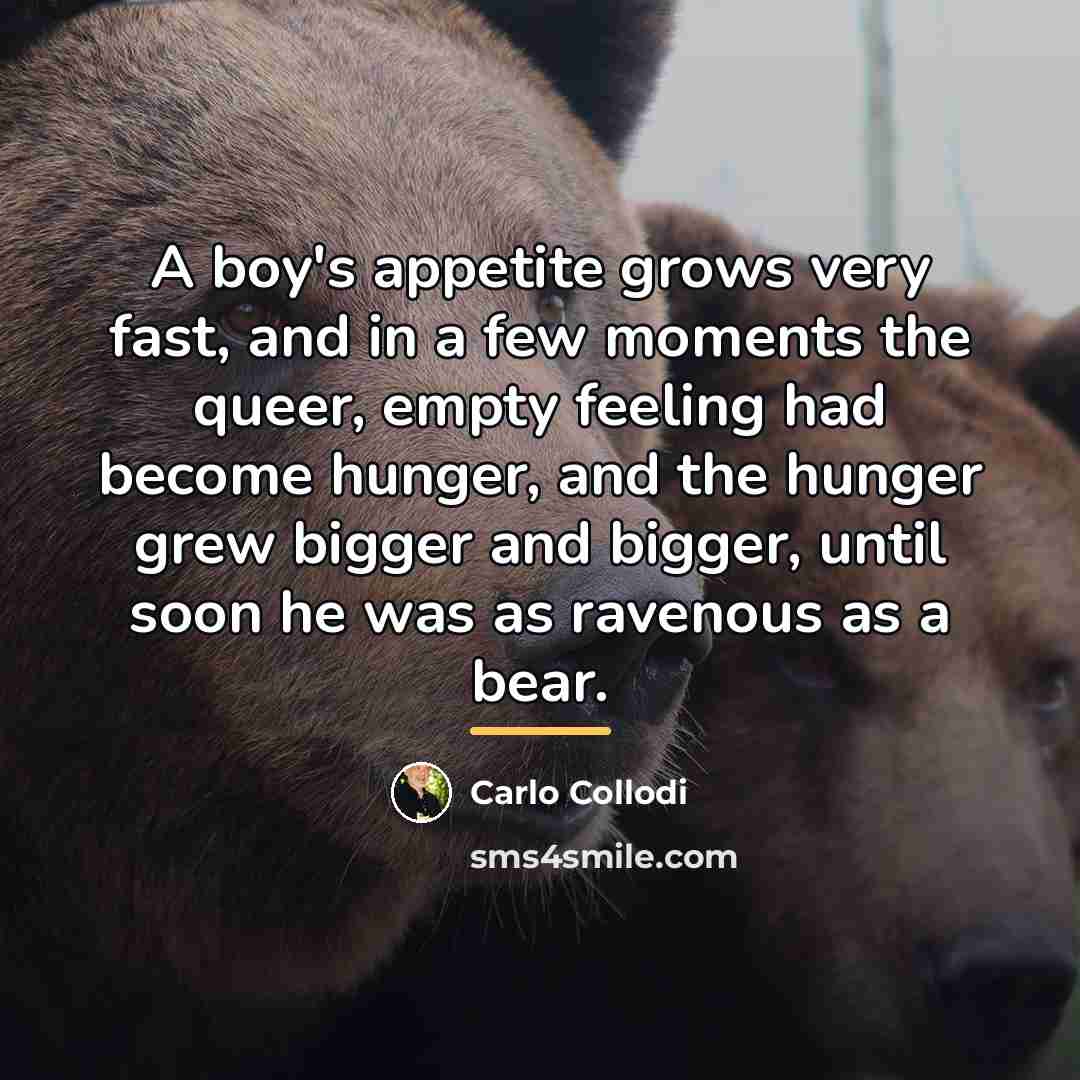 “A boy's appetite grows very fast, and in a few…” quote by Carlo Collodi