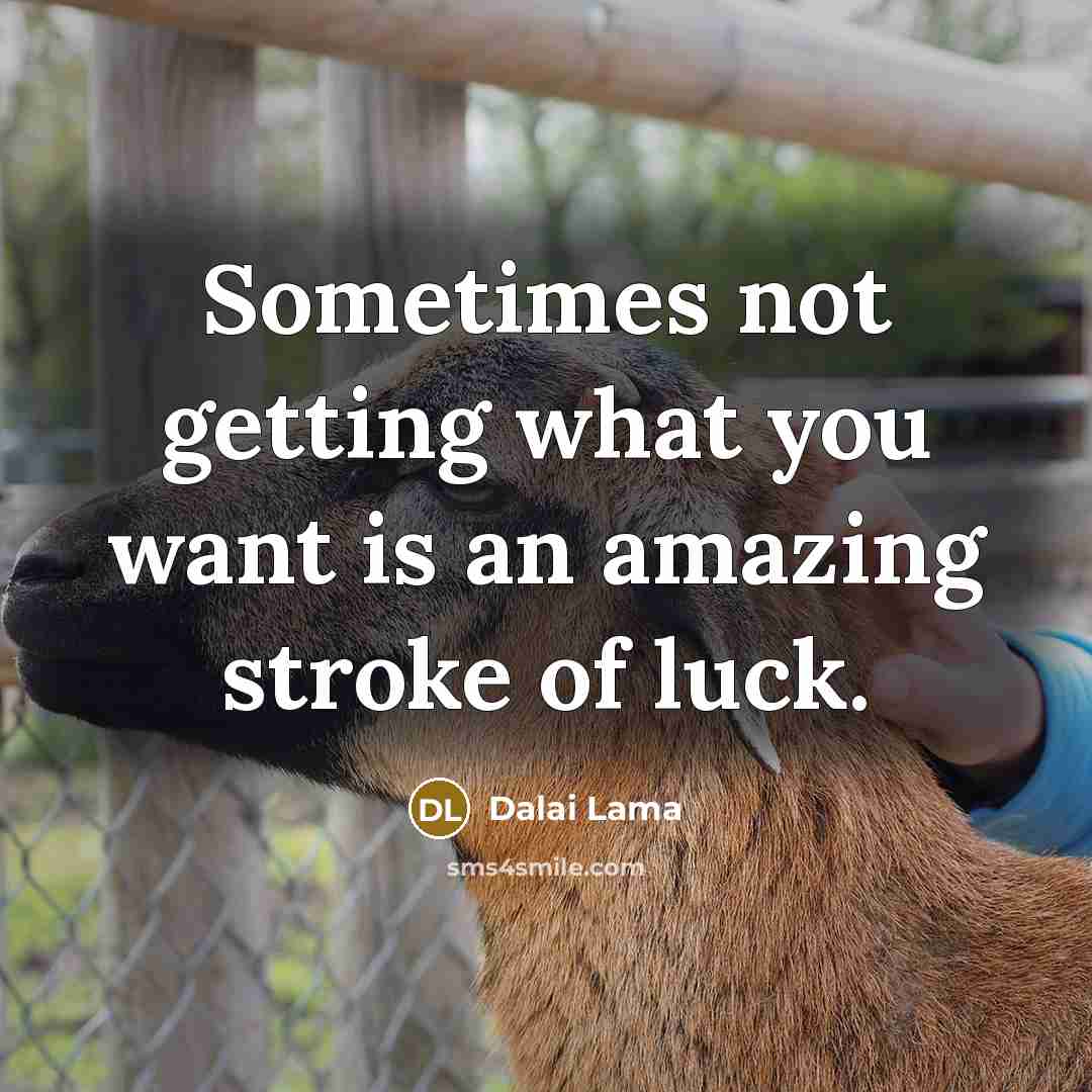 “Sometimes not getting what you want is an amazing stroke of luck.” quote by Dalai Lama