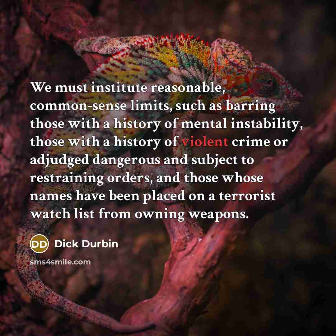 “We must institute reasonable, common-sense limits, such as barring those…” quote by Dick Durbin