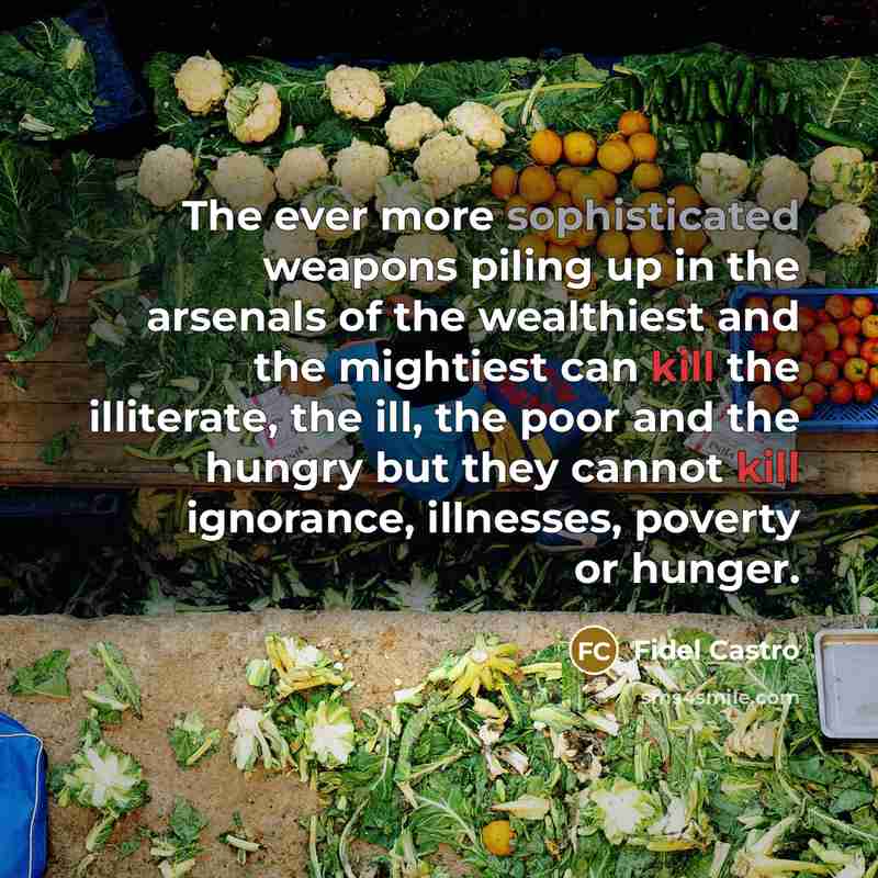 “The ever more sophisticated weapons piling up in the arsenals…” quote by Fidel Castro
