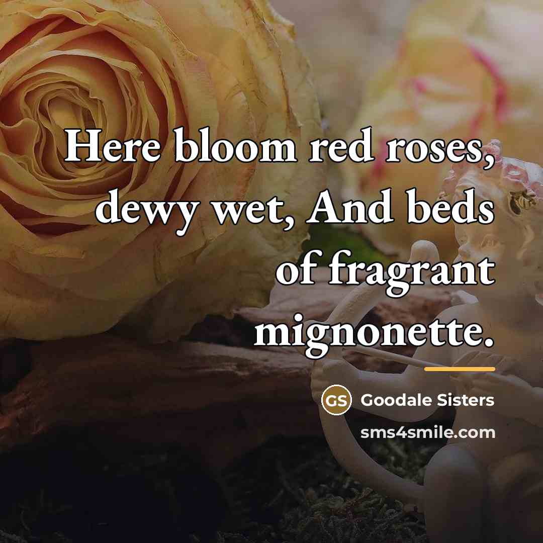“Here bloom red roses, dewy wet, And beds of fragrant…” quote by Goodale Sisters