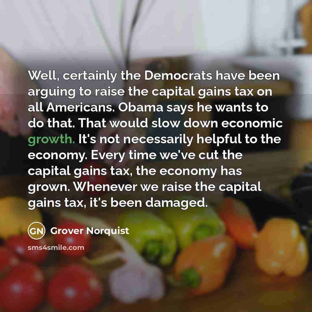 “Well, certainly the Democrats have been arguing to raise the…” quote by Grover Norquist