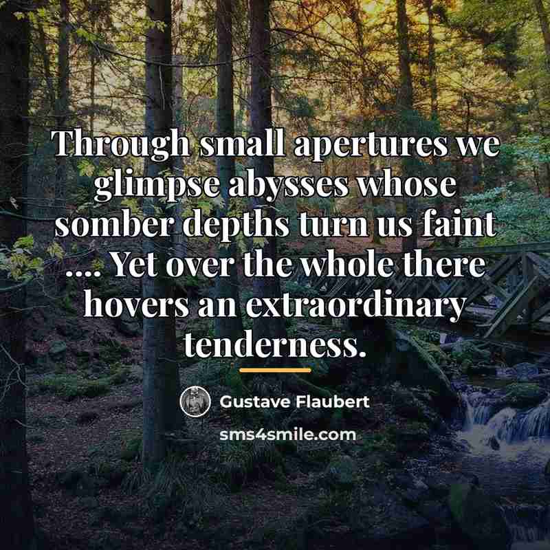“Through small apertures we glimpse abysses whose somber depths turn…” quote by Gustave Flaubert