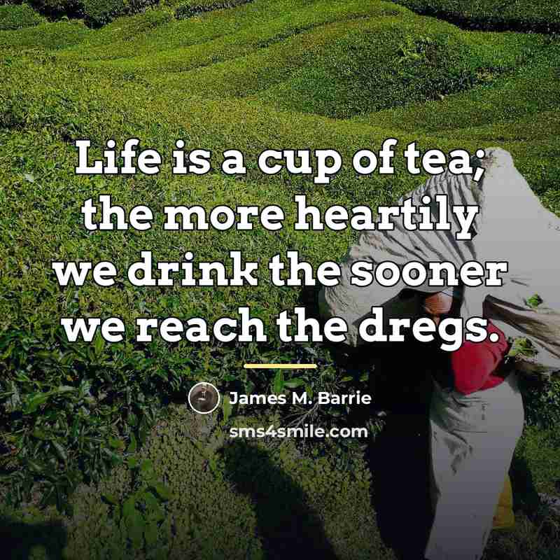 “Life is a cup of tea; the more heartily we…” quote by James M. Barrie