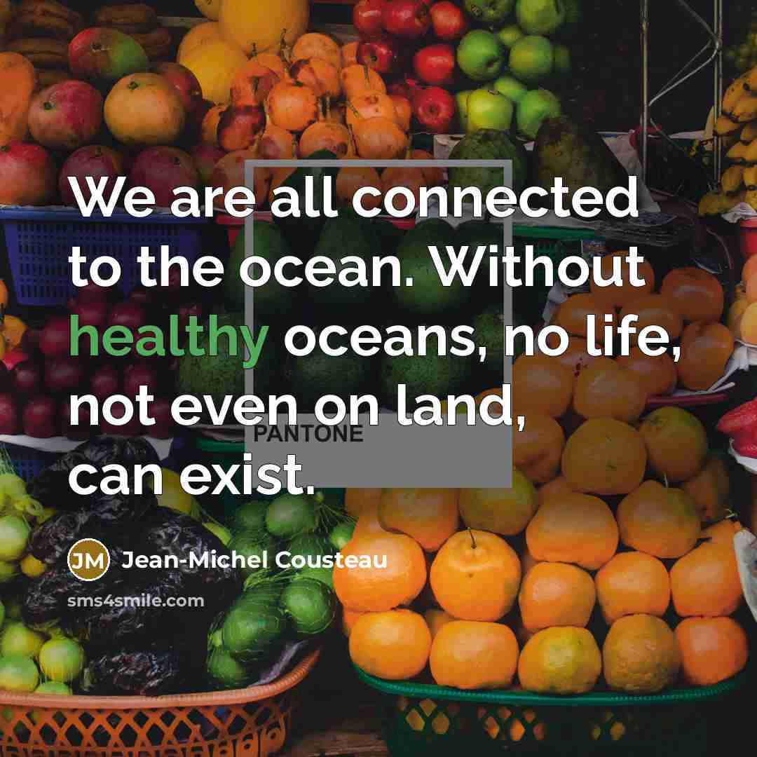 “We are all connected to the ocean. Without healthy oceans,…” quote by Jean-Michel Cousteau