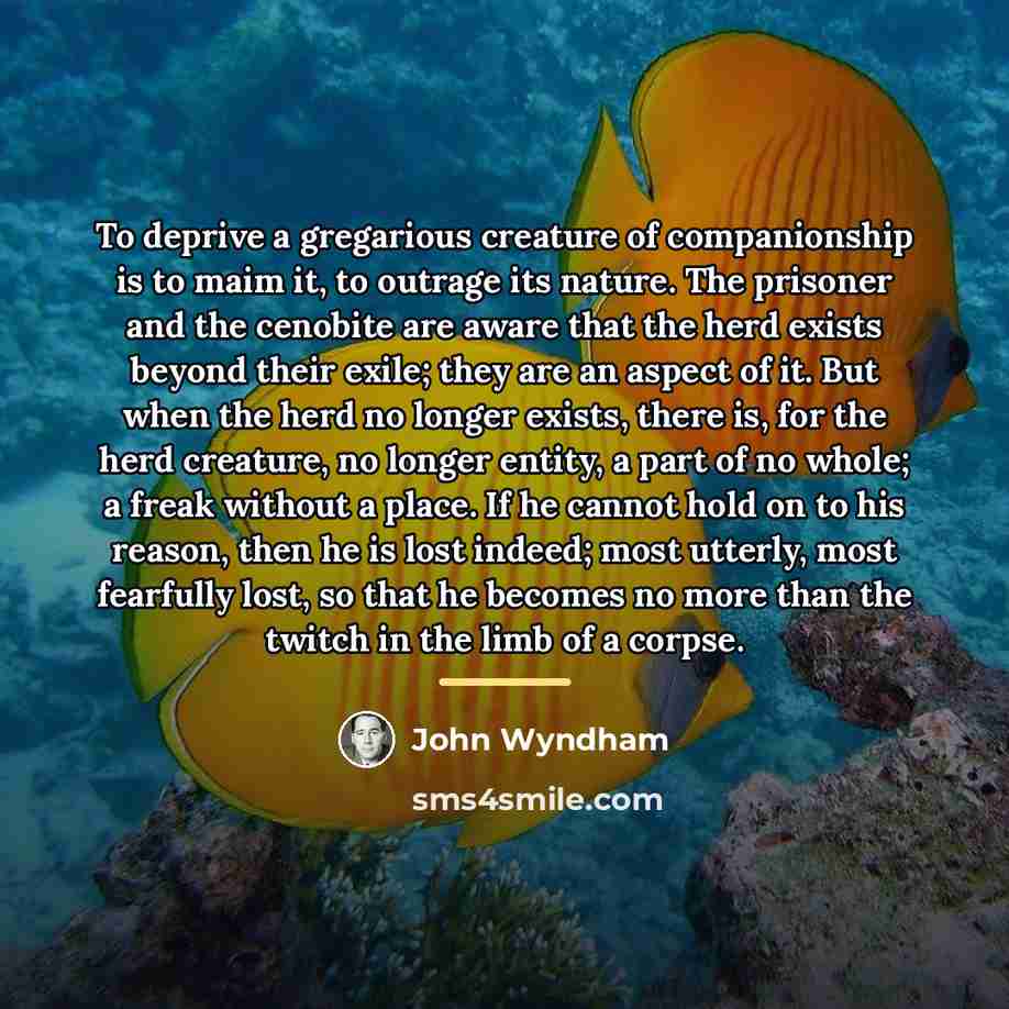 “To deprive a gregarious creature of companionship is to maim…” quote by John Wyndham
