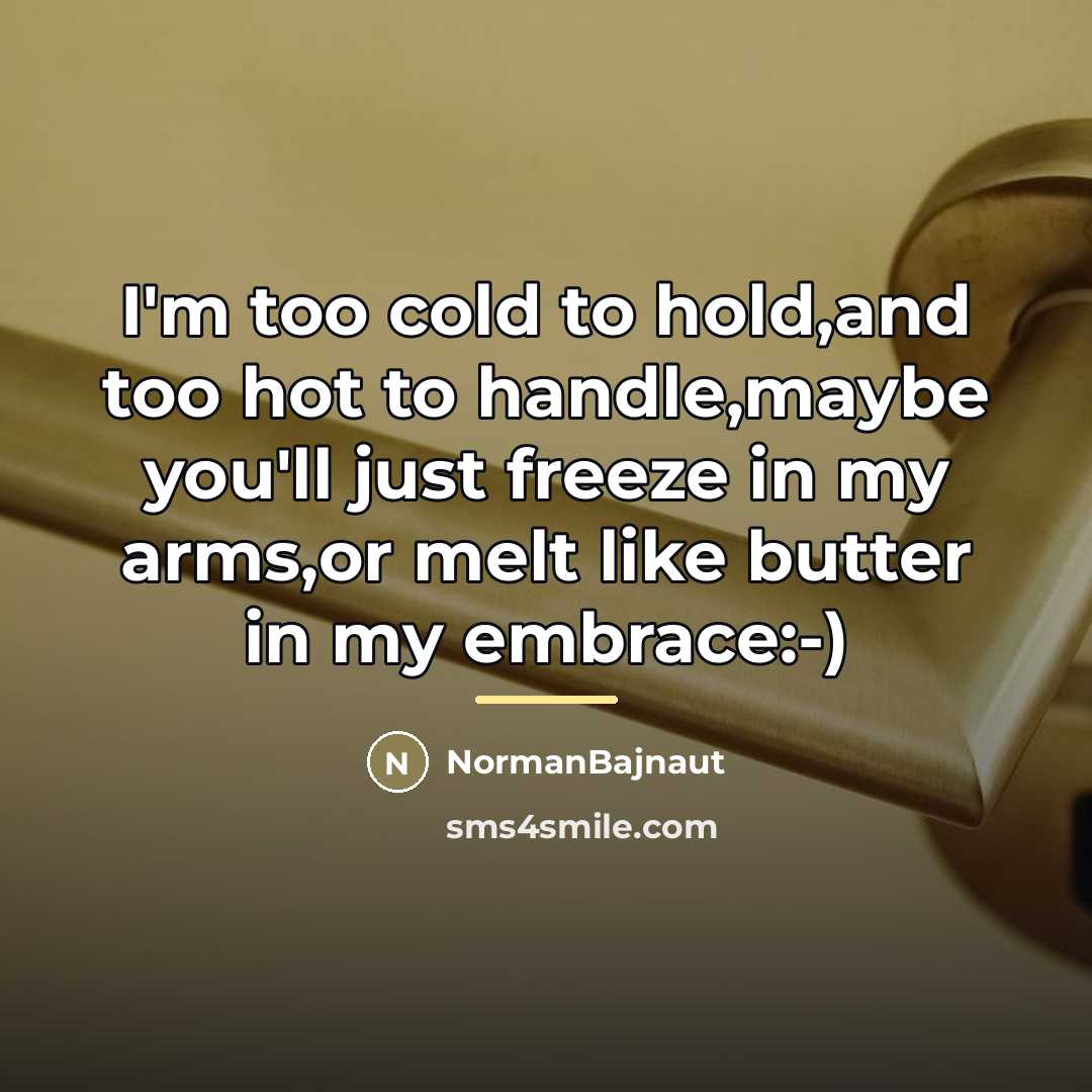 “I'm too cold to hold,and too hot to handle,maybe you'll…” quote by NormanBajnaut