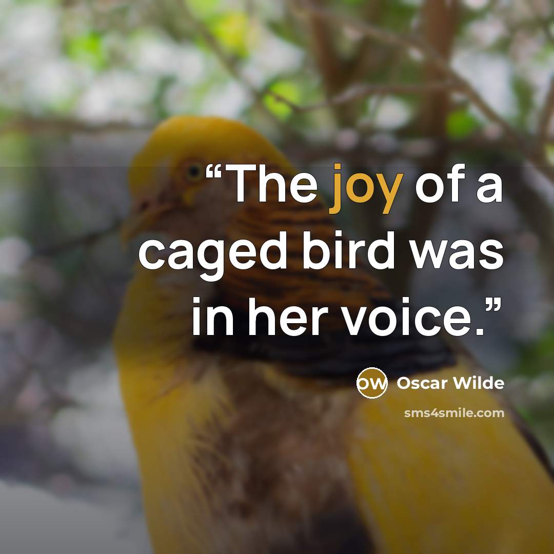 “The joy of a caged bird was in her voice.” quote by Oscar Wilde