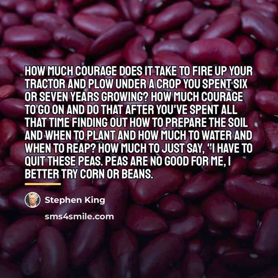 “How much courage does it take to fire up your…” quote by Stephen King