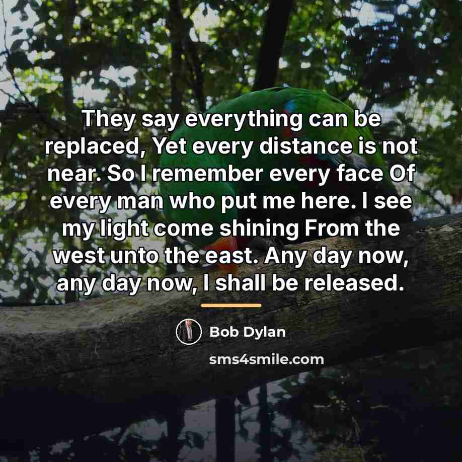 “They say everything can be replaced, Yet every distance is…” quote by Bob Dylan