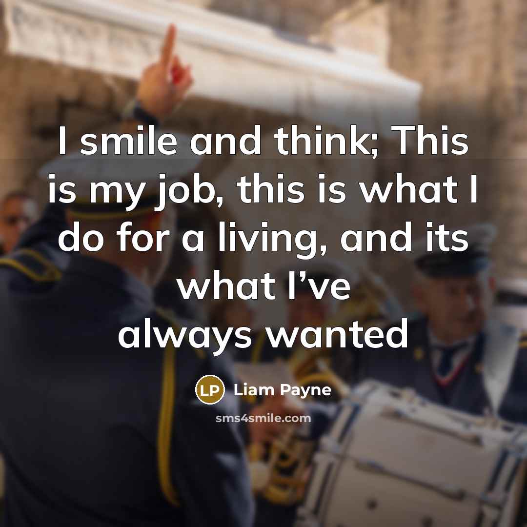 “I smile and think; This is my job, this is…” quote by Liam Payne