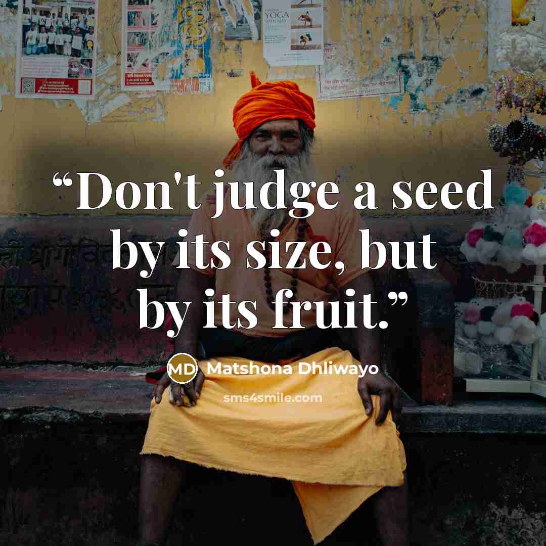 “Don't judge a seed by its size, but by its fruit.” quote by Matshona Dhliwayo