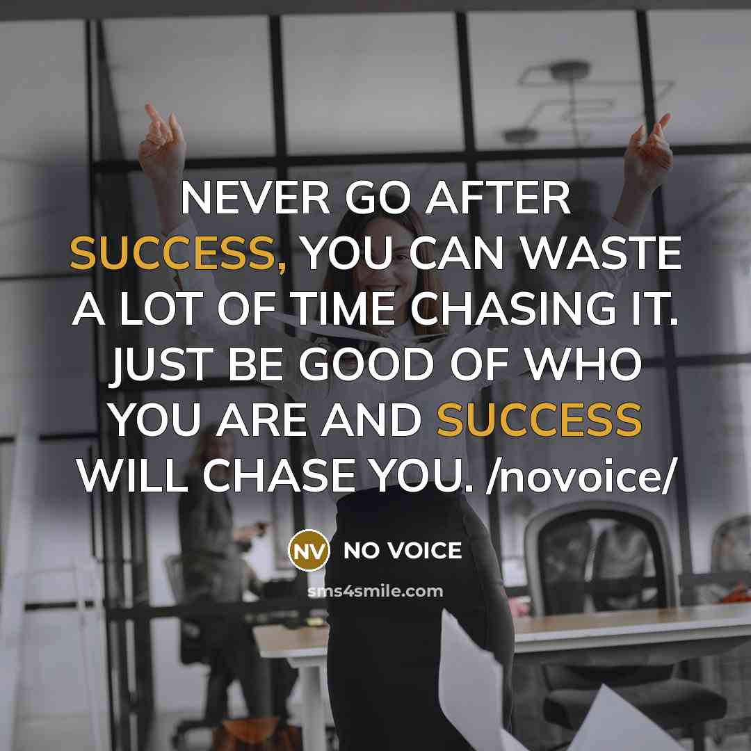 “NEVER GO AFTER SUCCESS, YOU CAN WASTE A LOT OF…” quote by NO VOICE