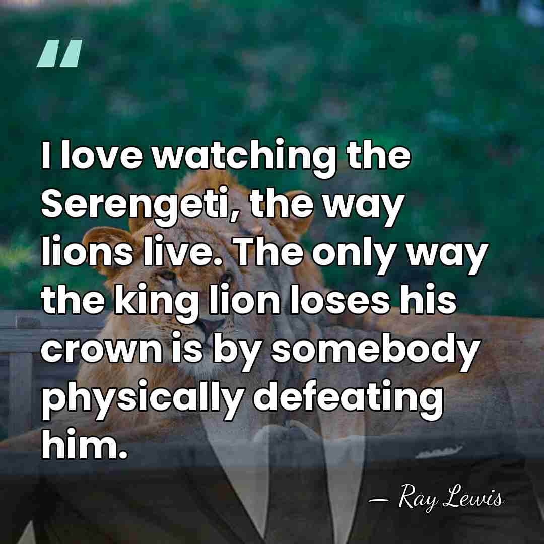 I love watching the Serengeti, the way lions live. The only way&hellip; - Ray Lewis