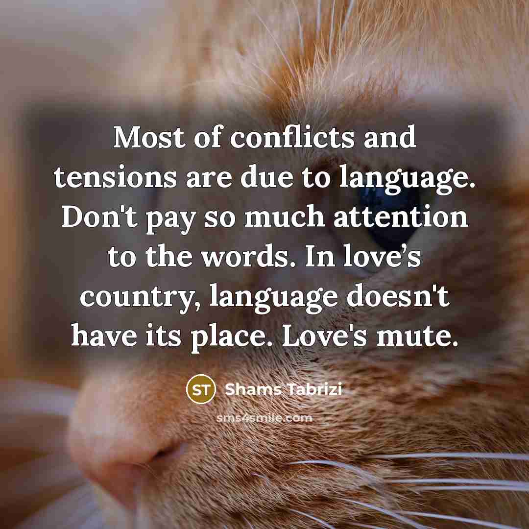 “Most of conflicts and tensions are due to language. Don't…” quote by Shams Tabrizi