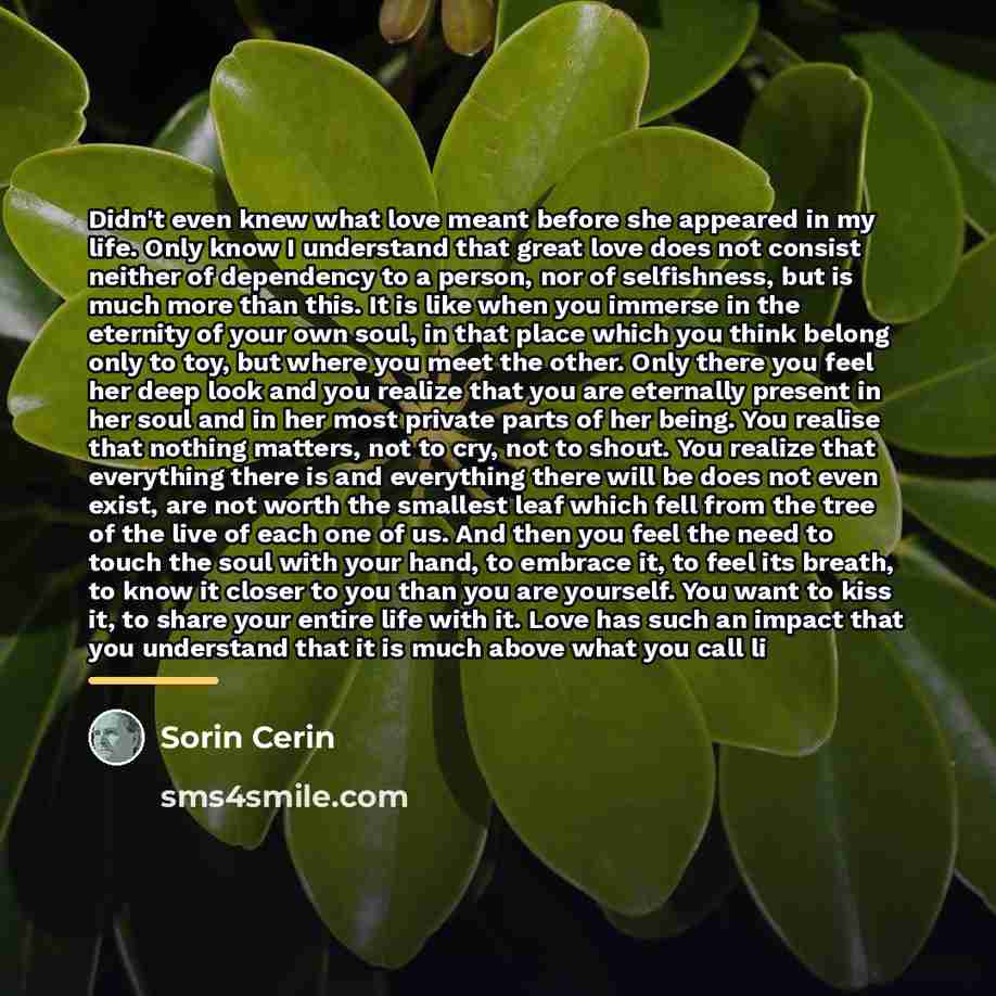 “Didn't even knew what love meant before she appeared in…” quote by Sorin Cerin