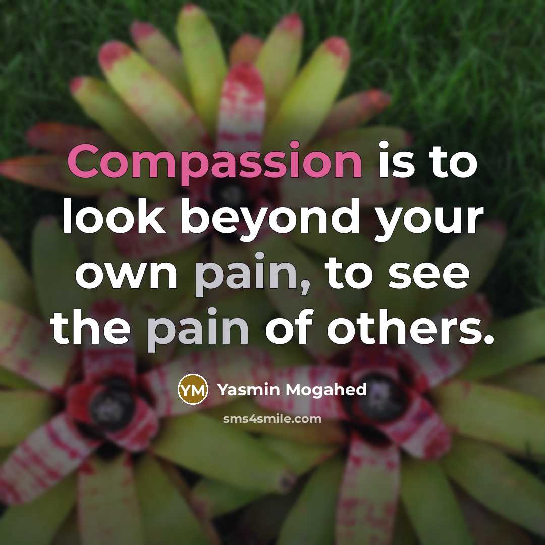 “Compassion is to look beyond your own pain, to see…” quote by Yasmin Mogahed