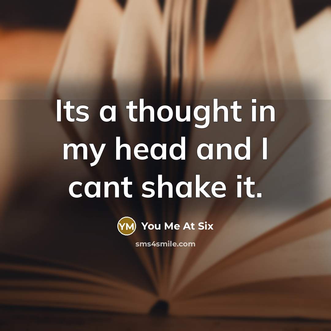 “Its a thought in my head and I cant shake…” quote by You Me At Six