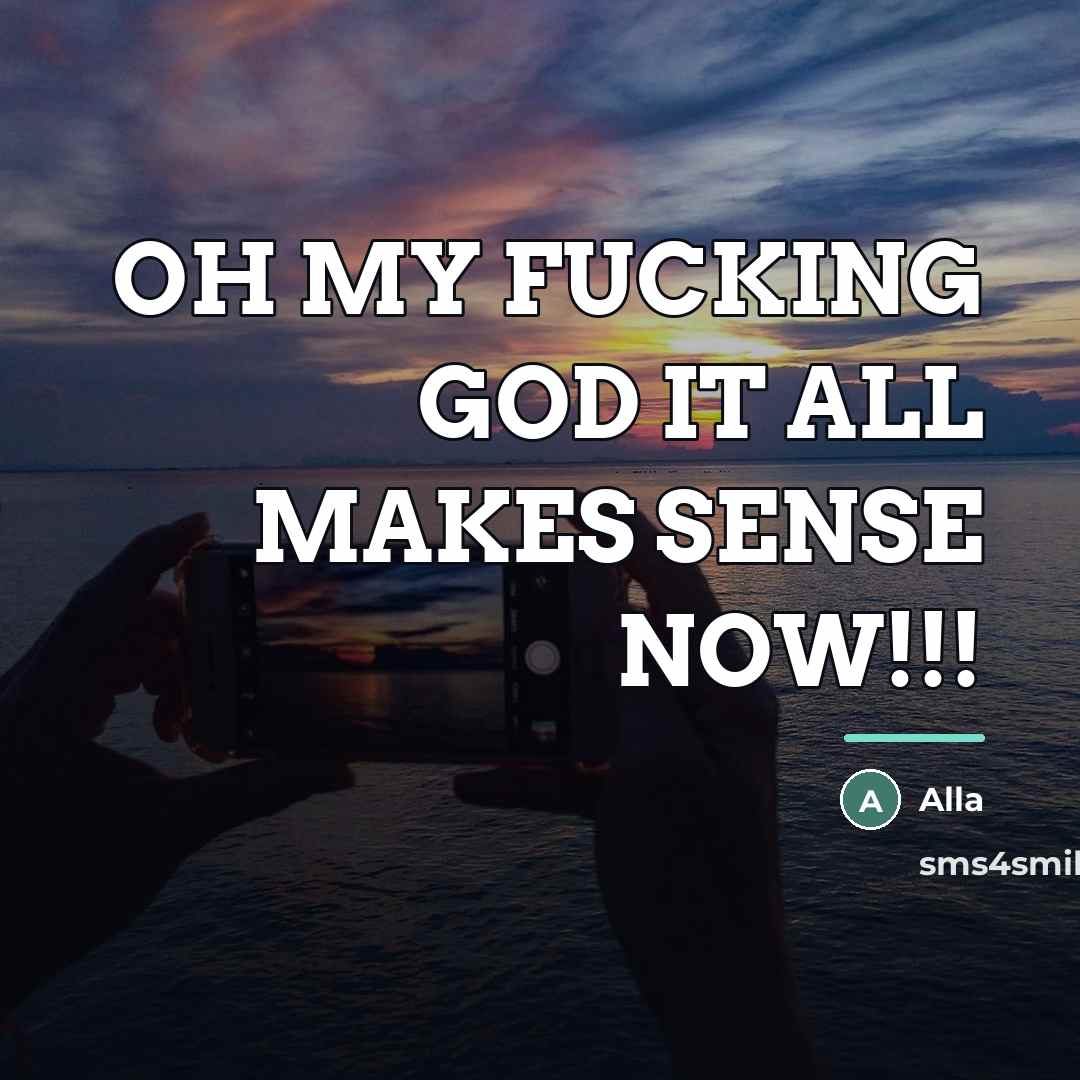 “OH MY FUCKING GOD IT ALL MAKES SENSE NOW!!!…” quote by Alla