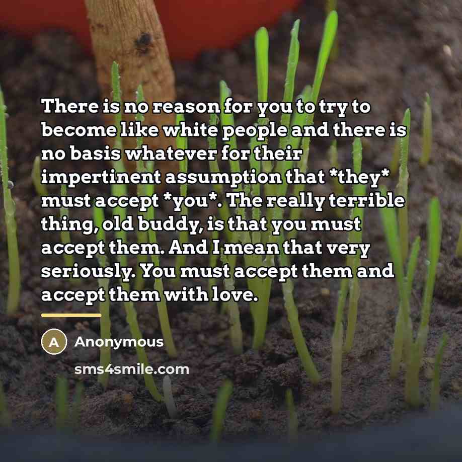 “There is no reason for you to try to become…” quote by Anonymous