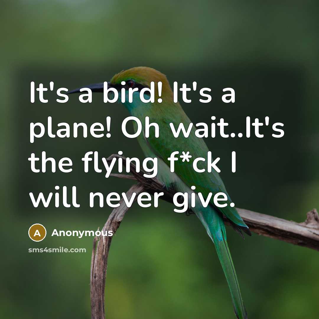 “It's a bird! It's a plane! Oh wait..It's the flying f*ck I will never give.” quote by Anonymous