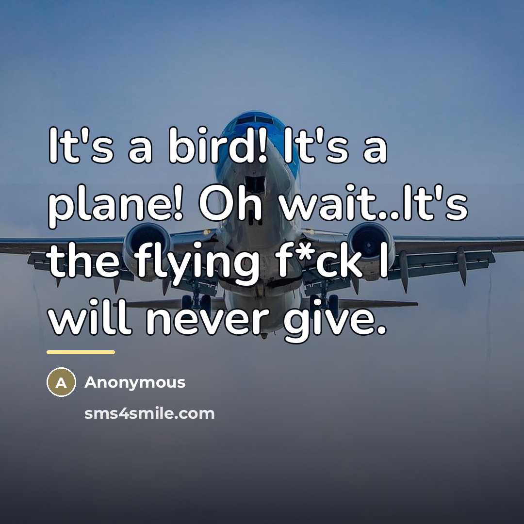 “It's a bird! It's a plane! Oh wait..It's the flying…” quote by Anonymous